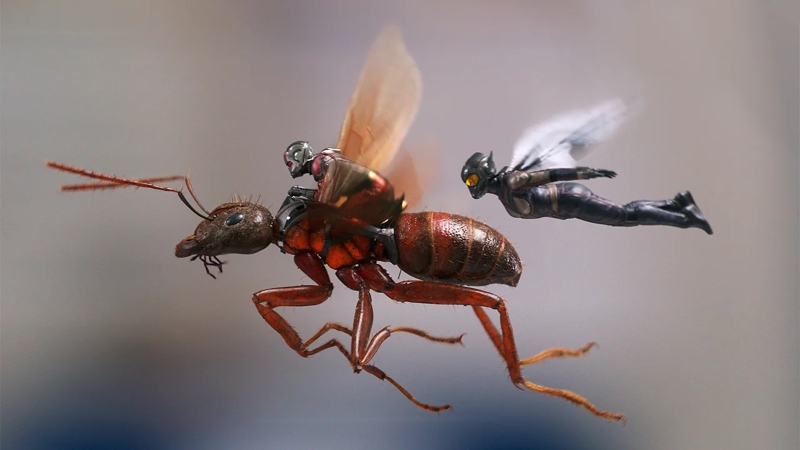 Sức mạnh của người kiến Ant-Man
