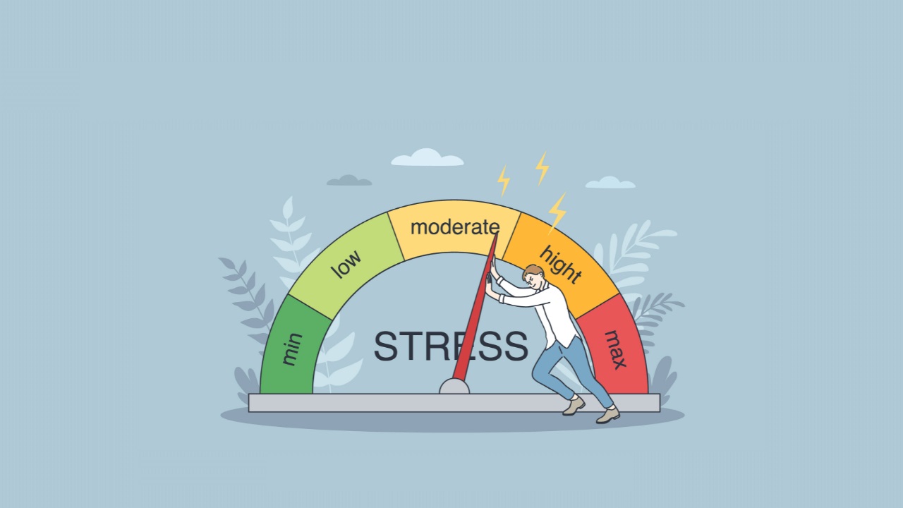 định nghĩa stress testing là 