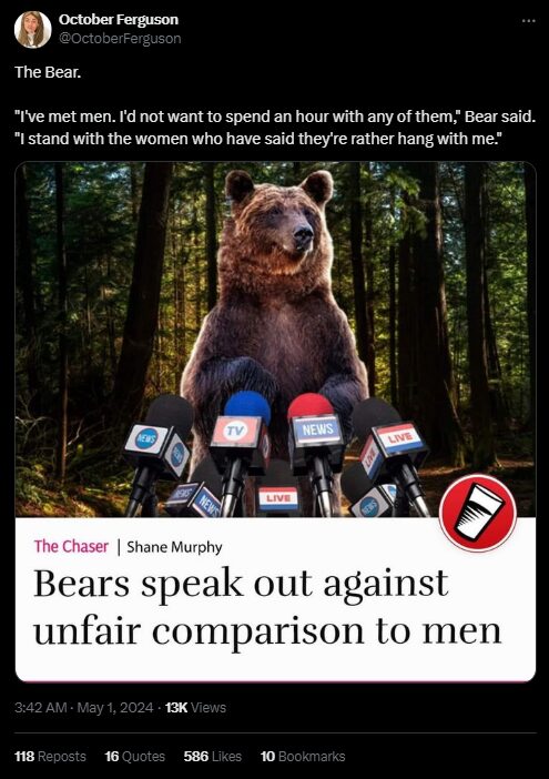 meme câu chuyện gấu và đàn ông