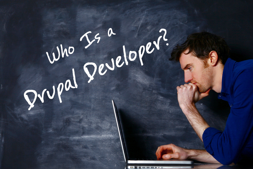 định nghĩa drupal developer là gì