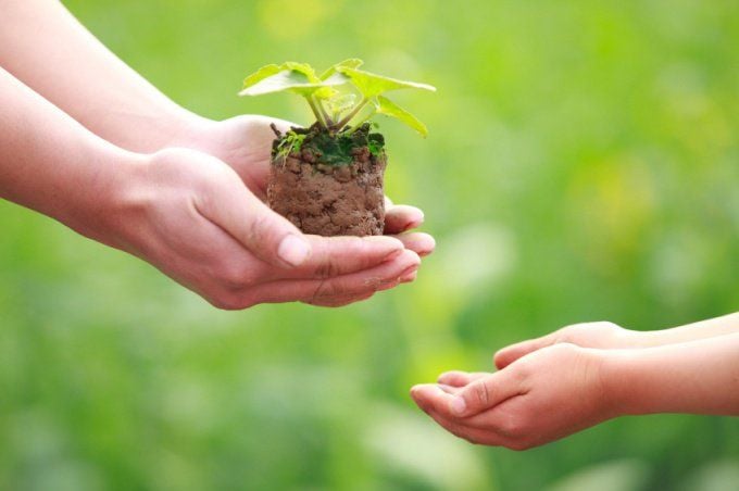 tham gia các hoạt động tình nguyện cũng là cách để hạnh phúc 