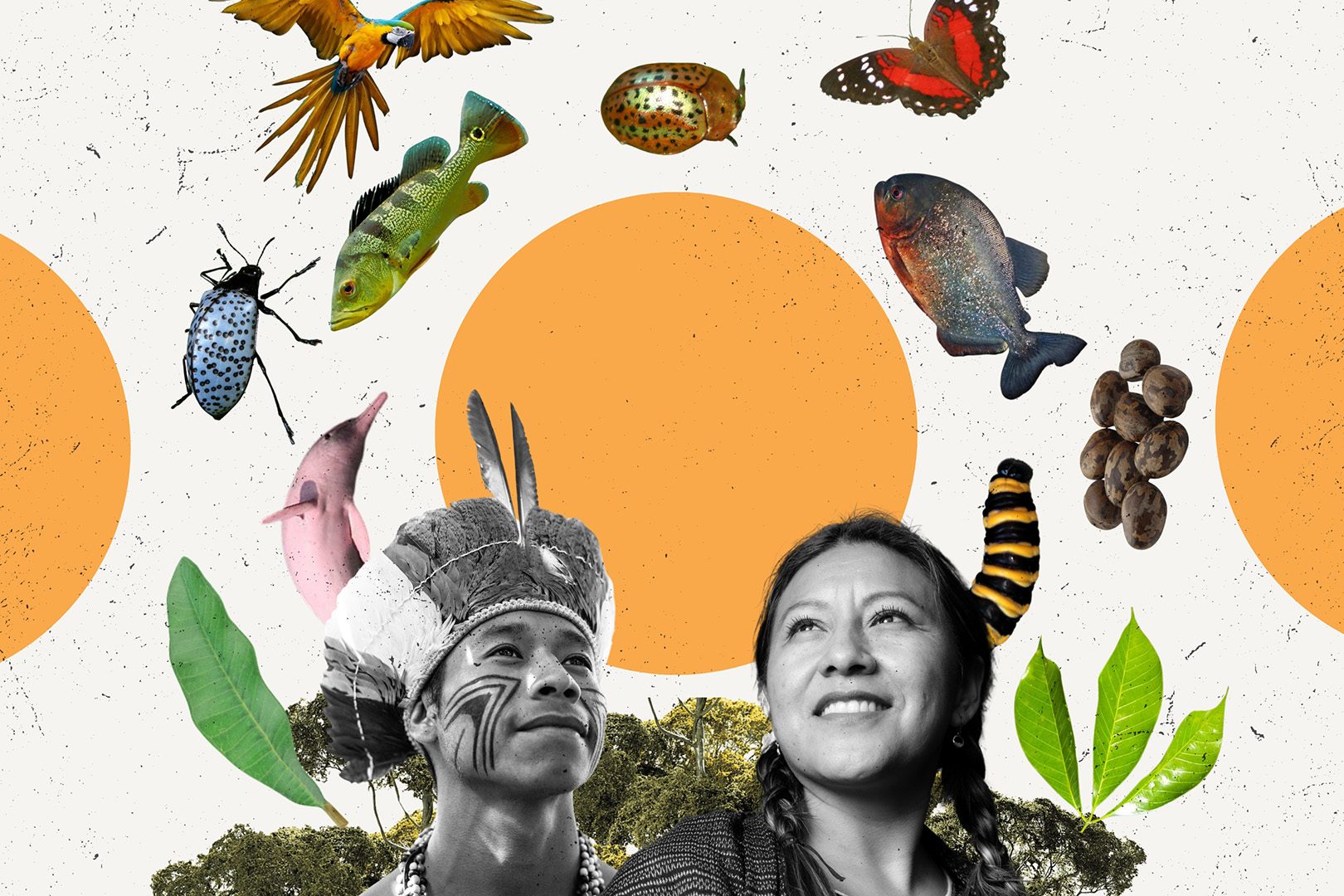 Nguồn tri thức bản địa