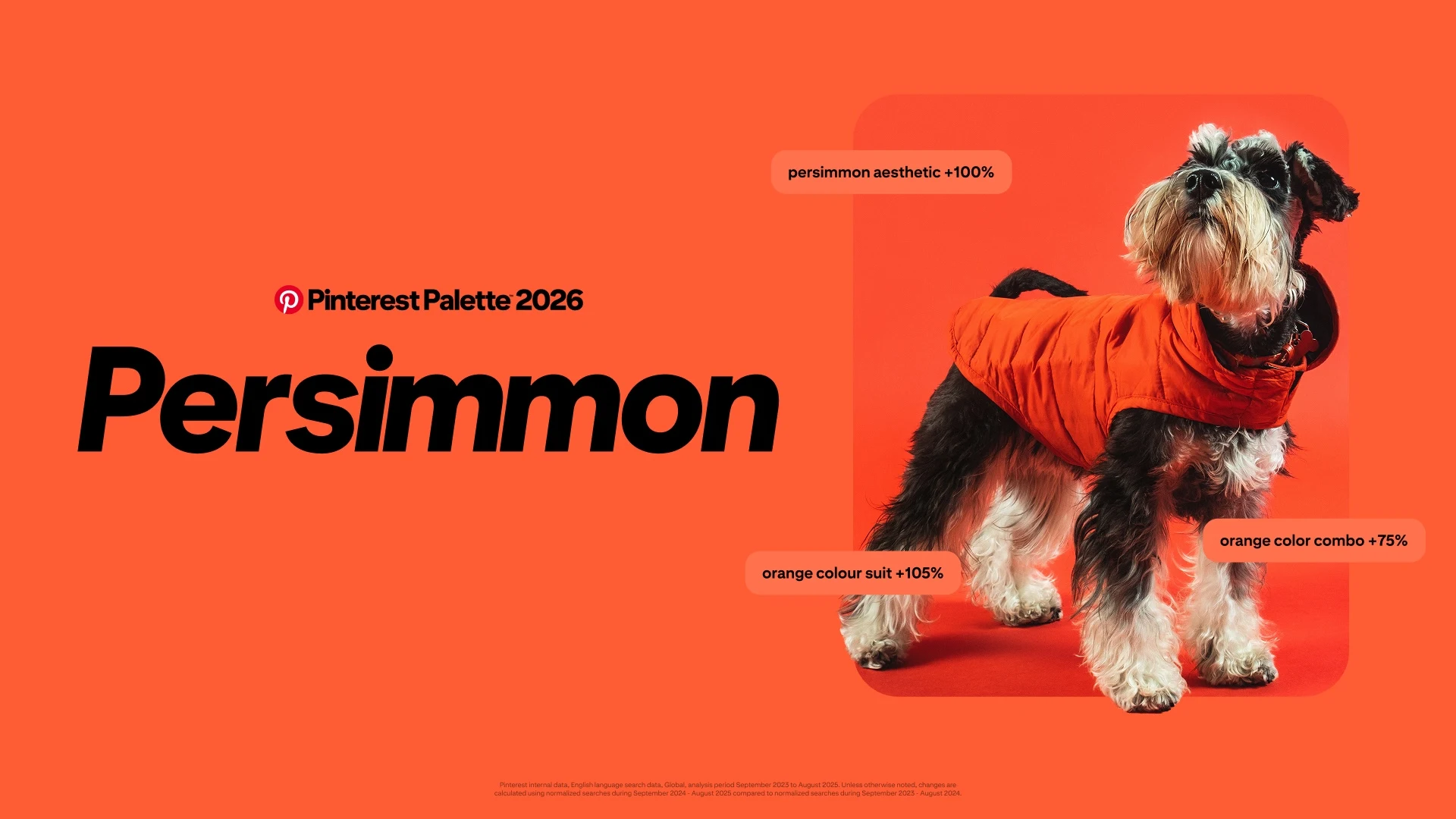 xu hướng màu sắc 2026